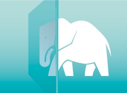 Elephant_253x186_Large.jpg Elephant_253x186_Large.jpg